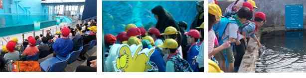 1年2年シーパラダイス